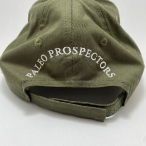 Triceratops Hat