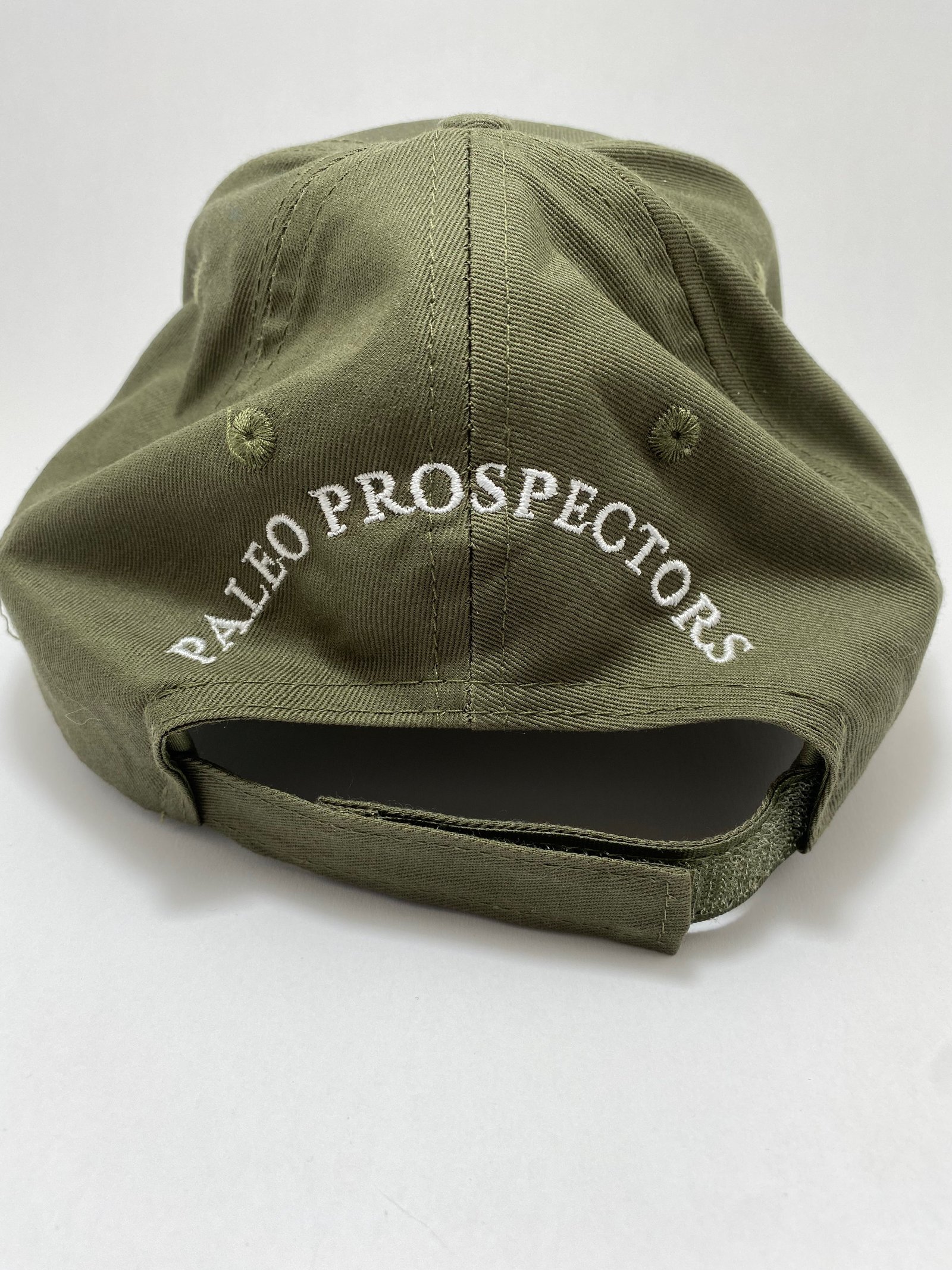 Triceratops Hat
